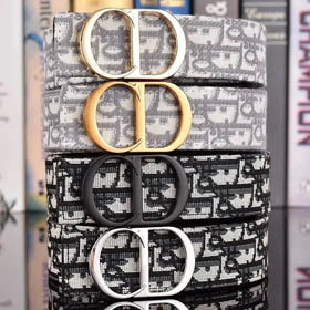 DIOR Belt (17+ Styles)-0245
